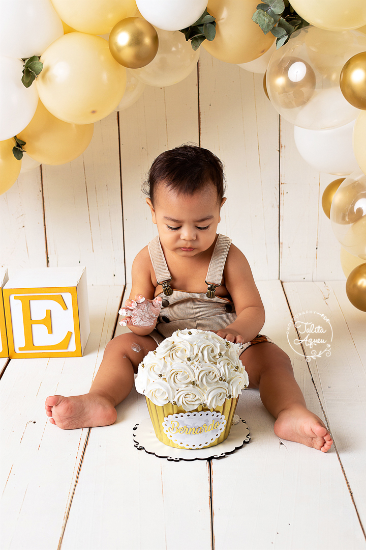 smash the cake guarujá familia fotografia ensaio acompanhamento ensaiosmashthecake bolo primeiro aniversario 1 ano kids photos guaruja baixadasantista
