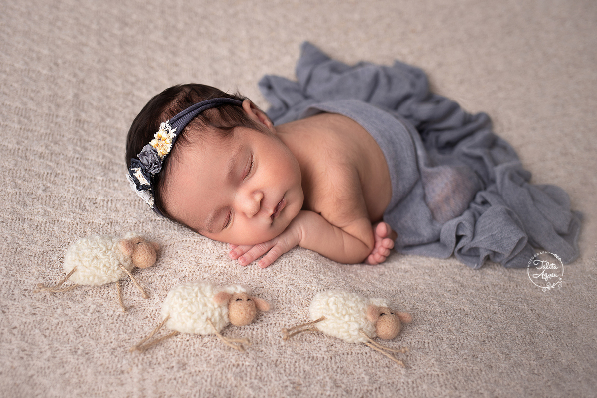 ensaio newborn talitaqueu guaruja litoralsp baixadasantista recem nascido bebê newborn booknewborn ensaiofotografico recemnascido primeirosdias bebê familia posecoala