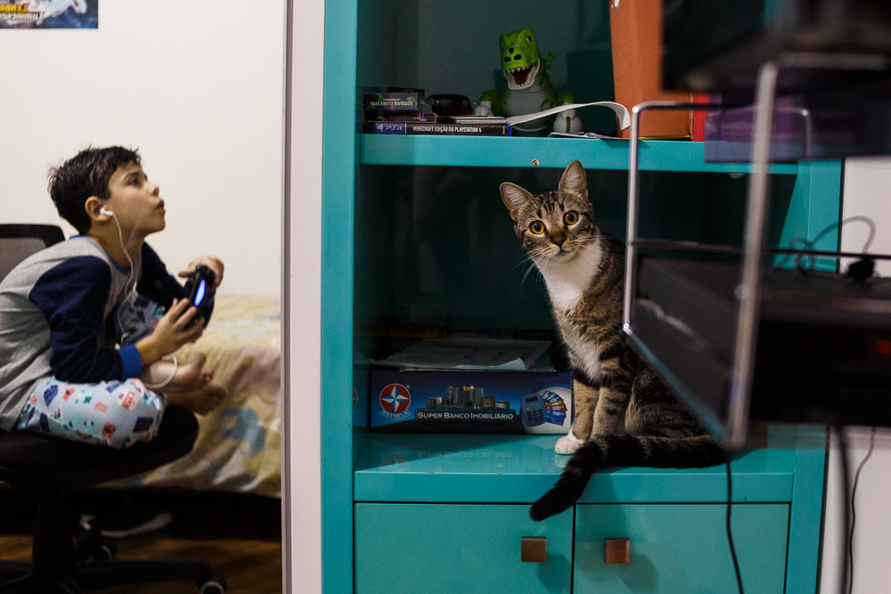 E temos a primeira aparição da Chanty, uma verdadeira laydie. Educada, carinhosa e muito curiosa.
#fotografiadefamilia
#fotografo
#documentaldefamilia
#milenasilvasantosfotografia
#fotografoportoalegre
