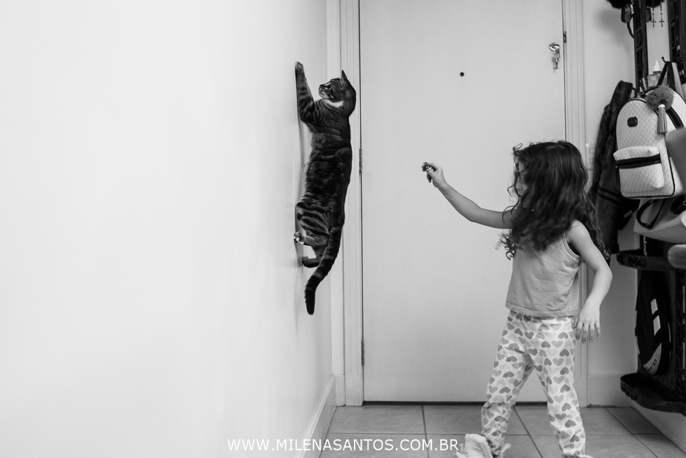 Gata aranha!!
#fotografiadefamilia
#fotografo
#documentaldefamilia
#milenasilvasantosfotografia
#fotografoportoalegre
