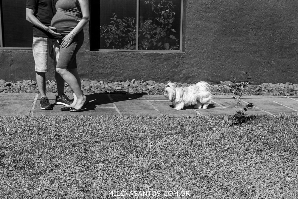 30 semanas de gestação
barriga em forma
gestante no Ninho das Águias
Nova Petrópolis
#fotografia
#ensaiogestante
#pragnant
#30semanas
#fotografiadefamilia
#milenasilvasantosfotografia
