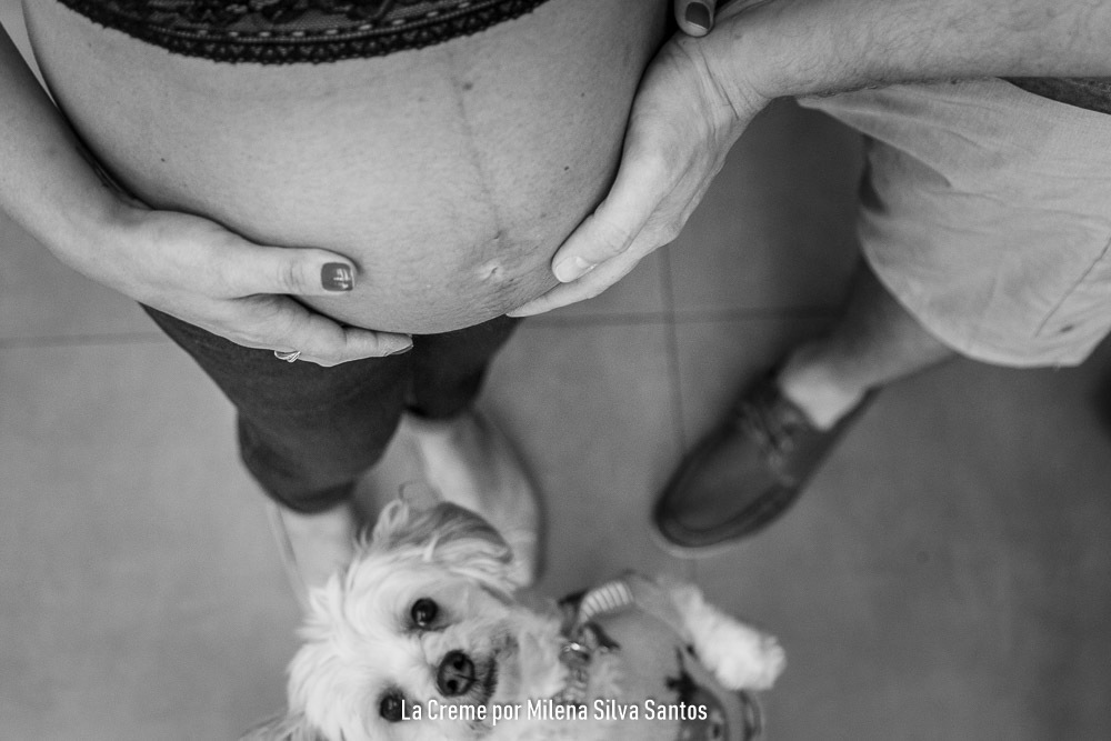 Lola e Pedrita. Participação especial das irmãs caninas no ensaio gestante da Carol
#ensaiogestante
#gestação
#fotografiaportoalegre
#melhoresfotografospoa
#fotografiadegestante
#30semanas
#ensaiolifestyle
#ondefazerensaiogestante
#milenasilvasantosfoto