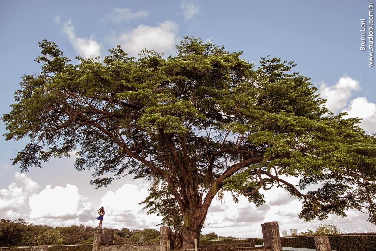 15anos-casamento-recife-brunaleni-studiobl-foto-fotografia-filmes-filmagem-debutante-studiobl-evento-blunelle-arcadia-dibranco-usina-ledadourado
