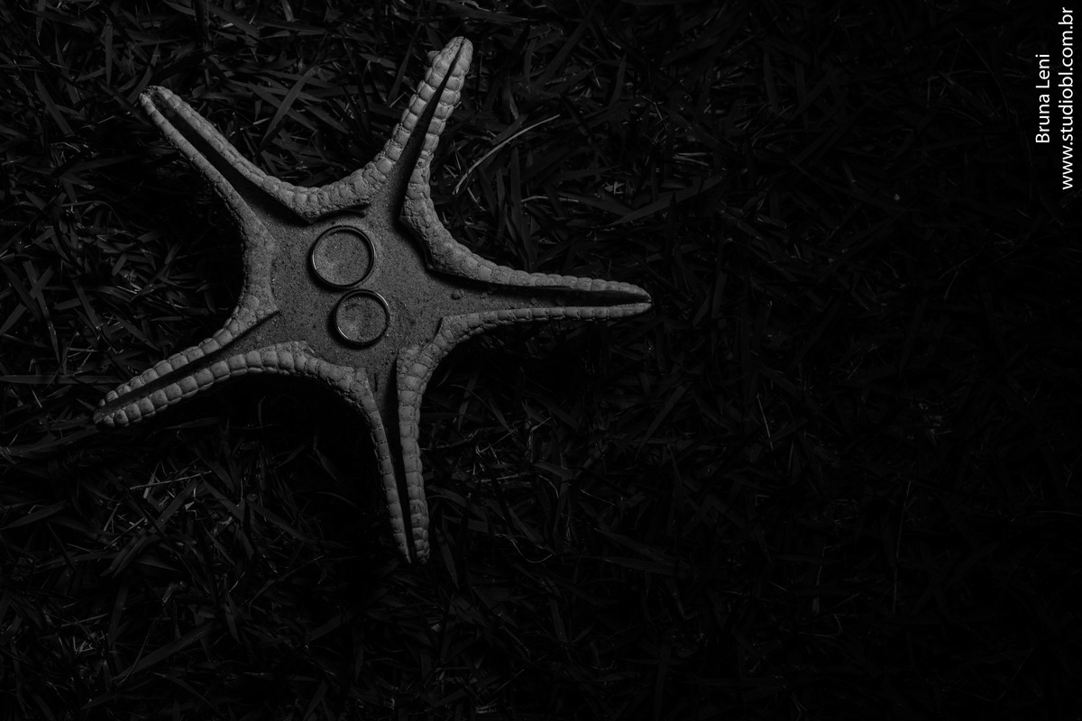 casamento-cansadonapraia-praia-carneiros-portodegalinha-tamandare-wedding-destination-brunaleni-studiobl-fotografia-fotografo-fotografodecasamento