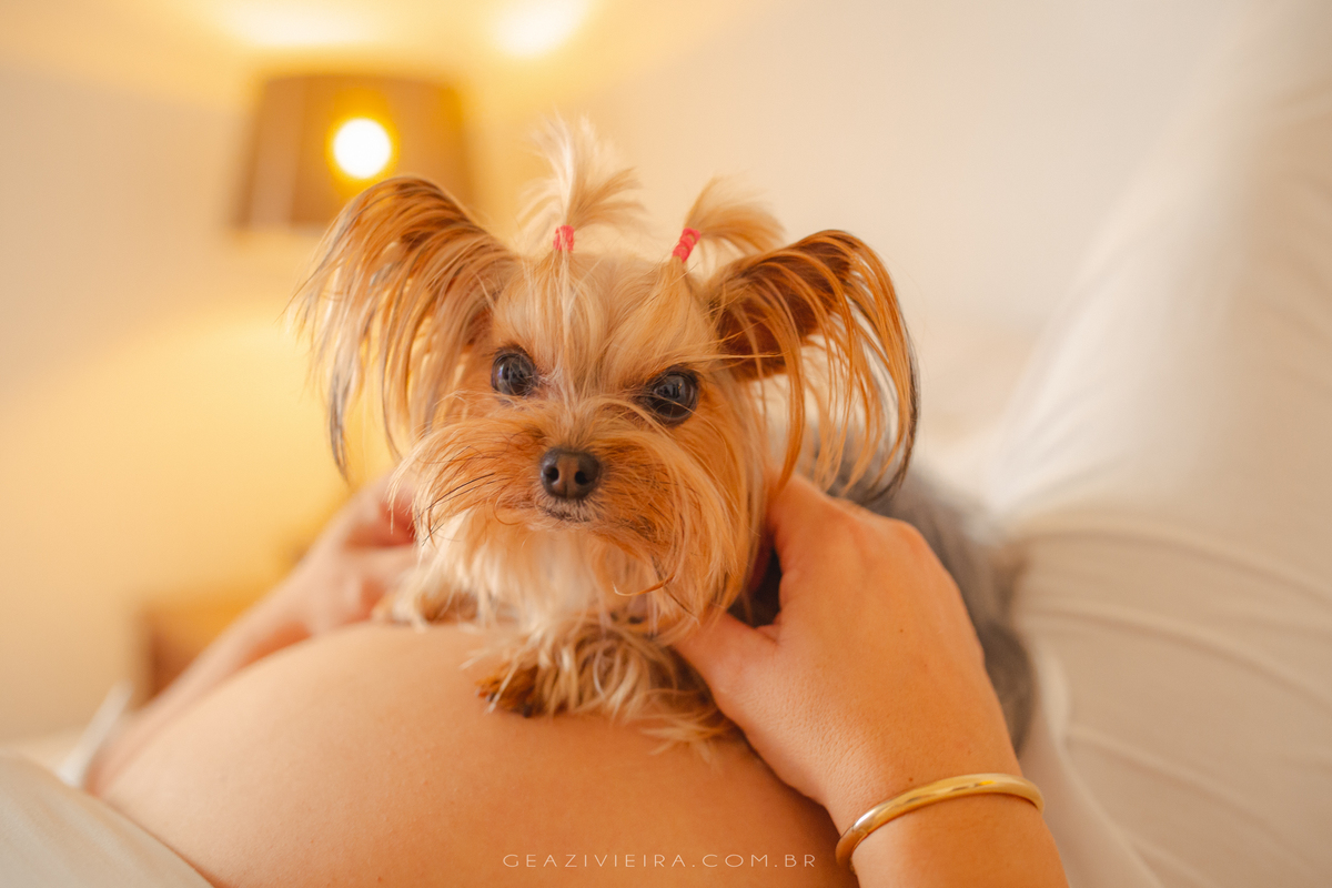 gestante com o cachorro em cima da barriga