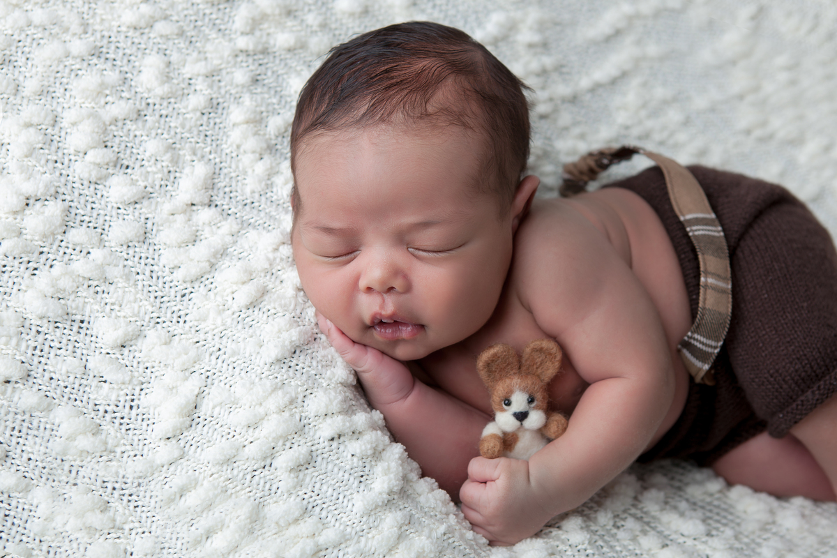 Fotografia de bebê Newborn com cachorrinho feltrado, realizada no Estúdio Fotográfico Rosi Lima Fotografia, localizado na região do Barreiro, cidade de Belo Horizonte -  MG