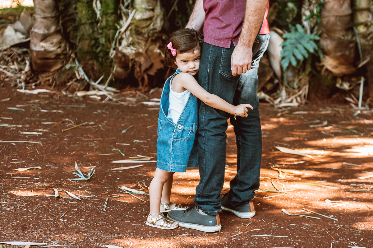 fotografia de família - ensaio - pré aniversário - londrina - warta - tortas alemãs