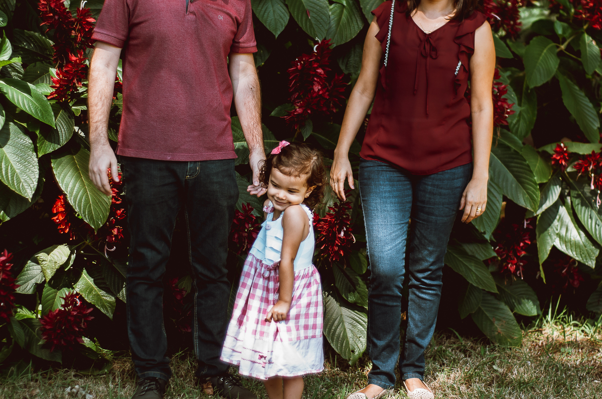 fotografia de família - ensaio - pré aniversário - londrina - warta - tortas alemãs