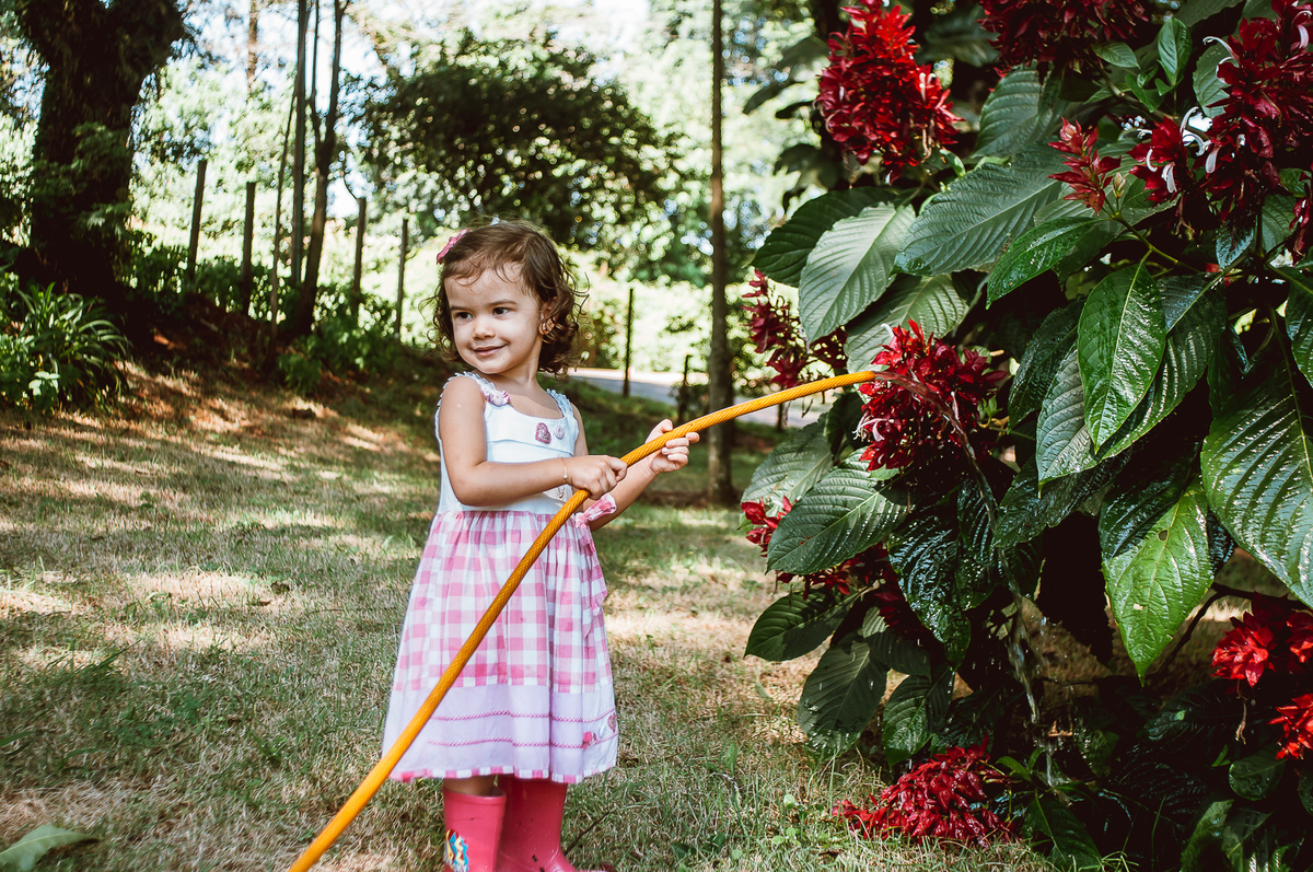 fotografia de família - ensaio - pré aniversário - londrina - warta - tortas alemãs