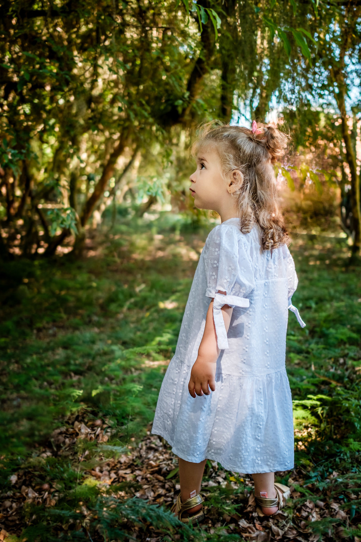 criança passeando na floresta