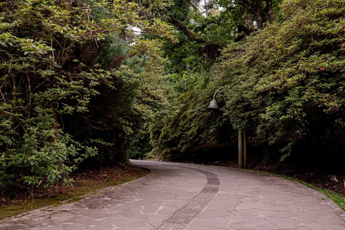 calçada no lago negro gramado