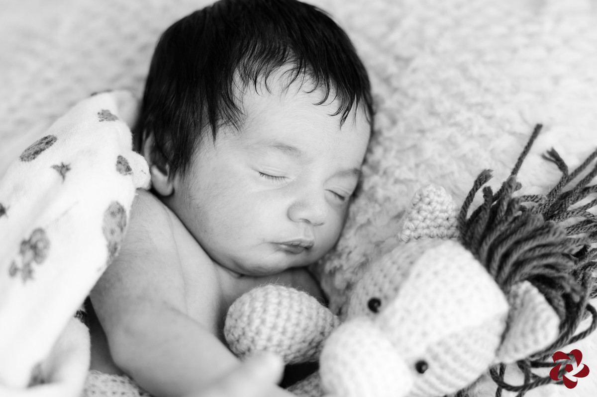 Foto em preto e branco do bebê Henrique dormindo, tapado com uma fralda de pano, abraçado em um cavalo feito de crochê,