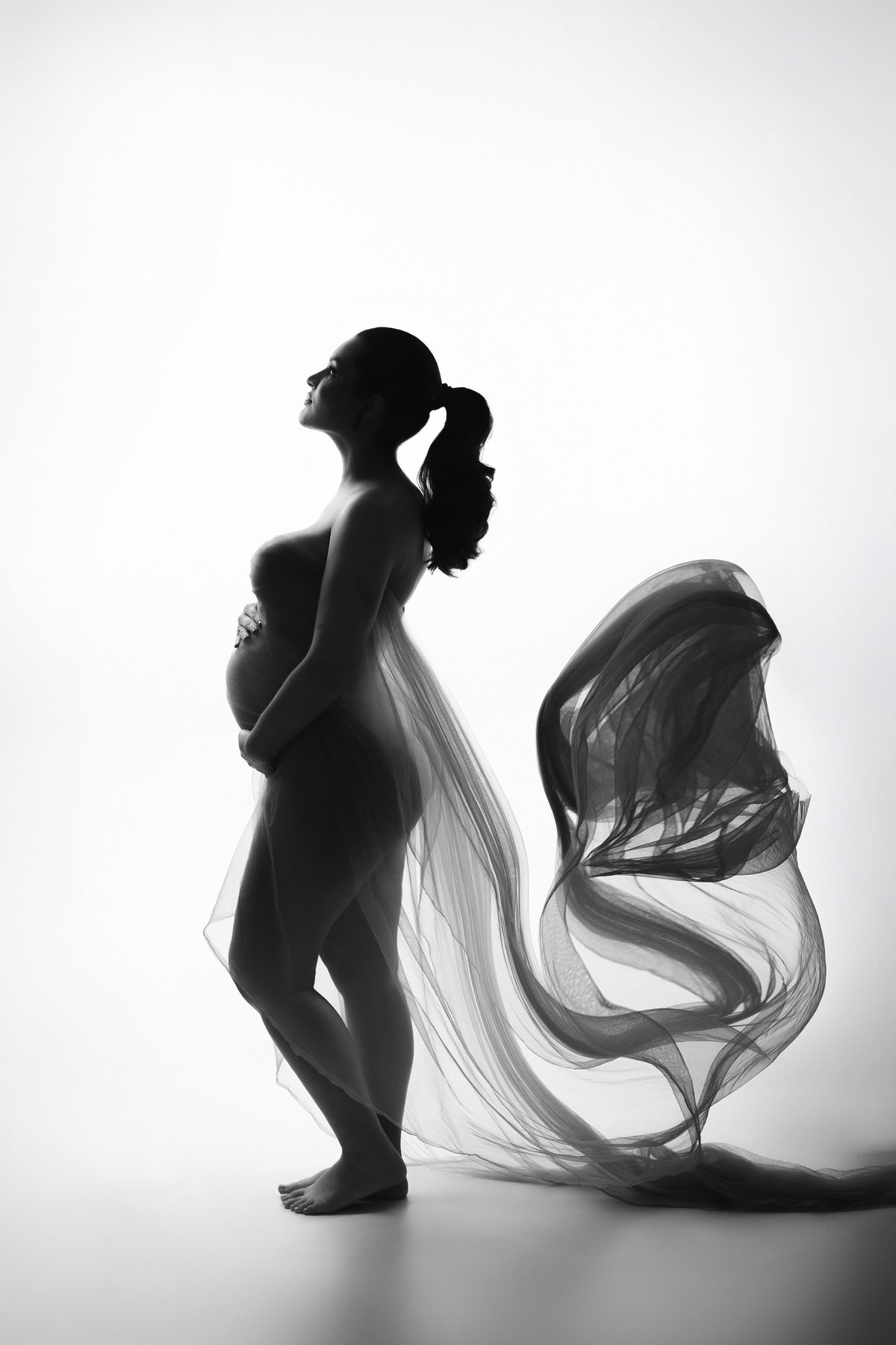 fotografia de gestante criativa, fotografia de gestante com tecido, foto de gestante com tule, foto de silhueta gestante