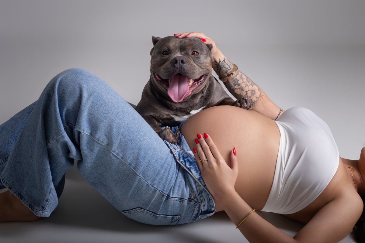 fotografia de gestante, pet perto da barriga