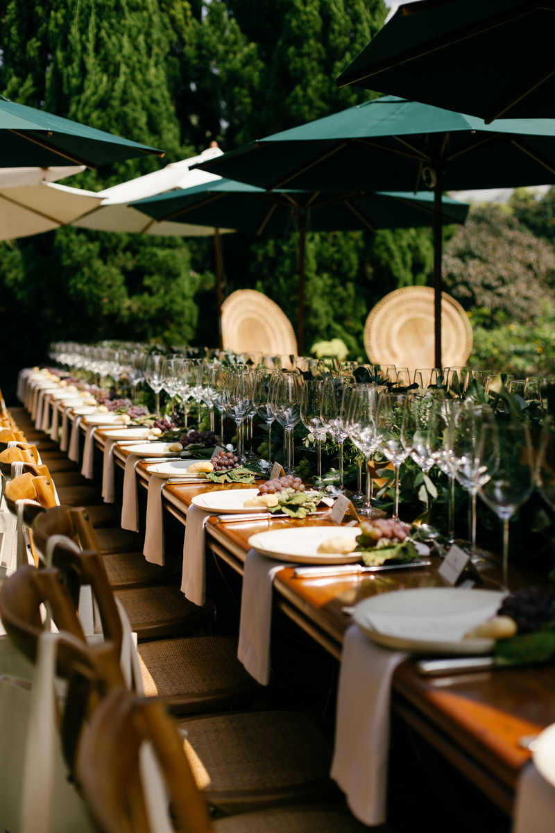 Mr Cat com Marina Ruy Barbosa Red and Wine