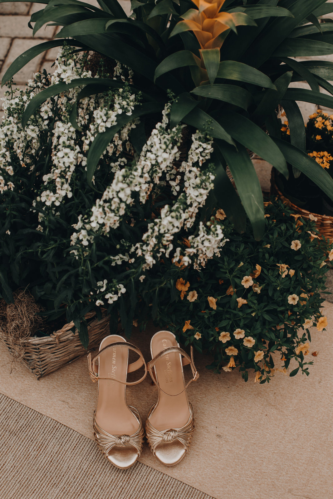 chacara casamento dream image wedding video fotografia externo festa pool party cerimonia