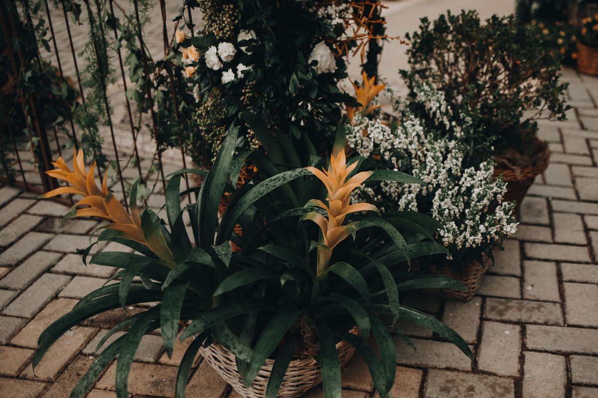 chacara casamento dream image wedding video fotografia externo festa pool party cerimonia