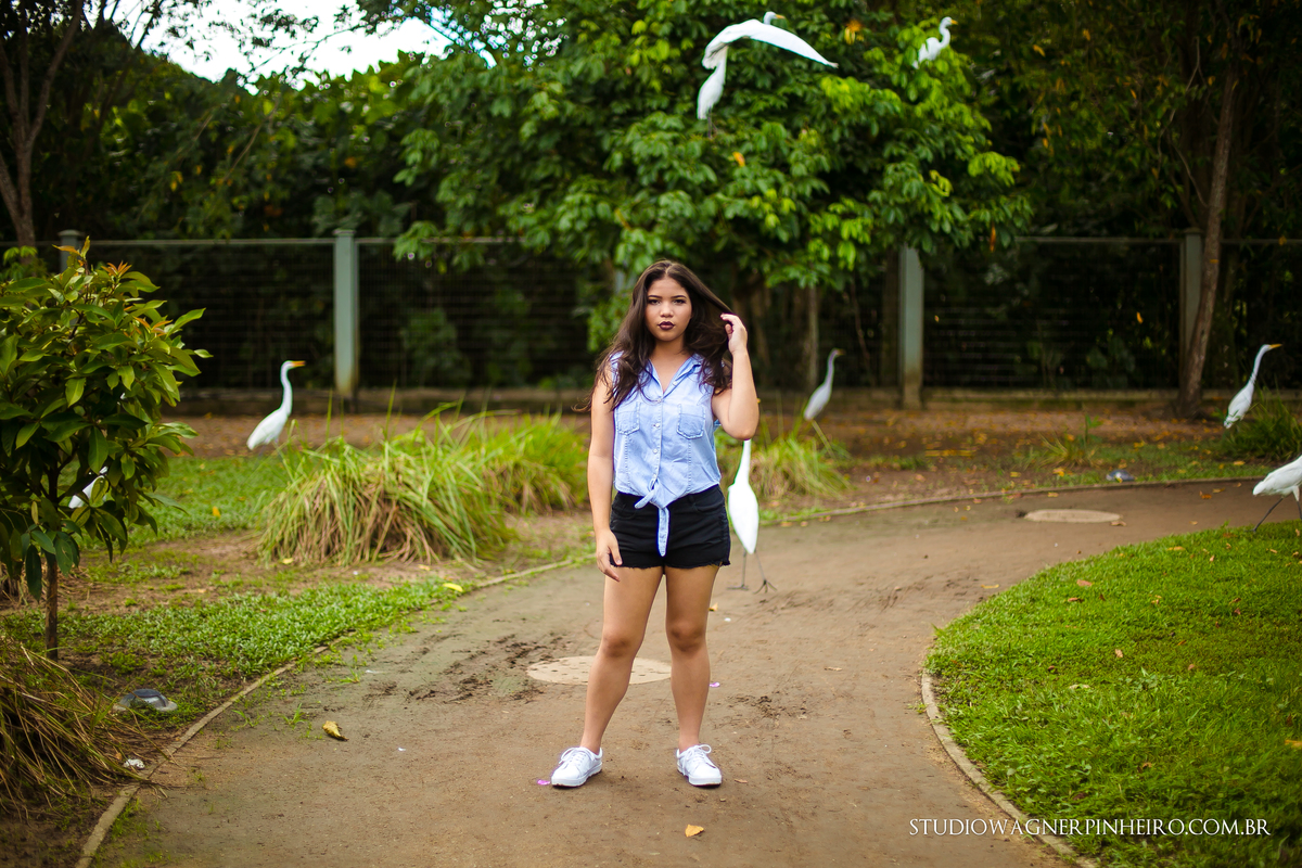 fotografia com garças voando