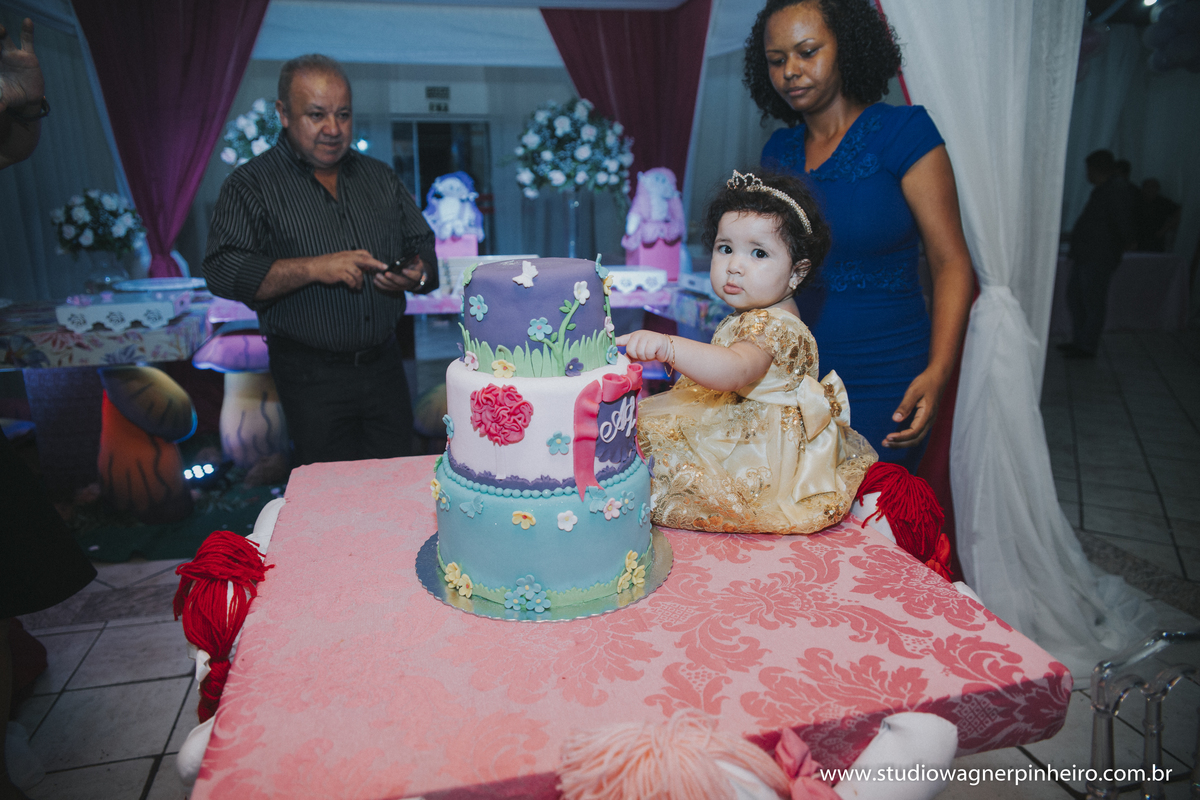 aniversario da ana luiza