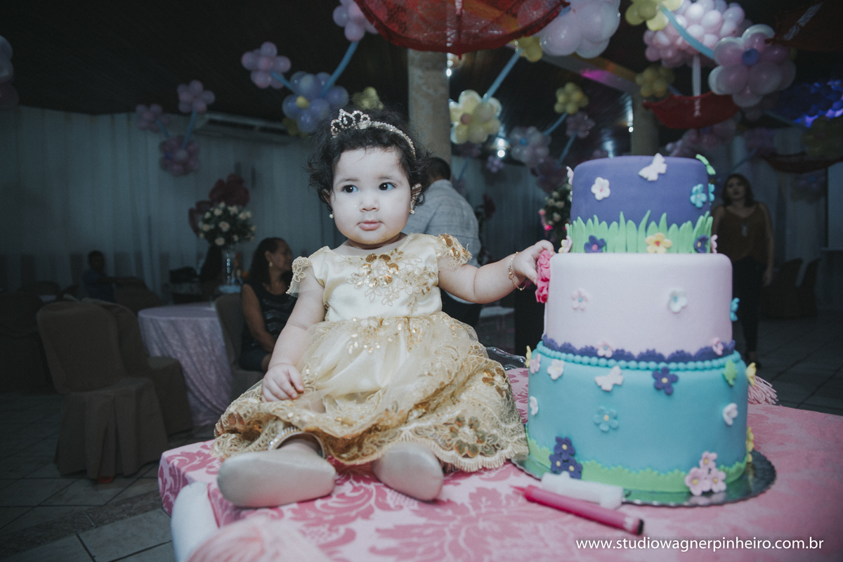 aniversario da ana luiza