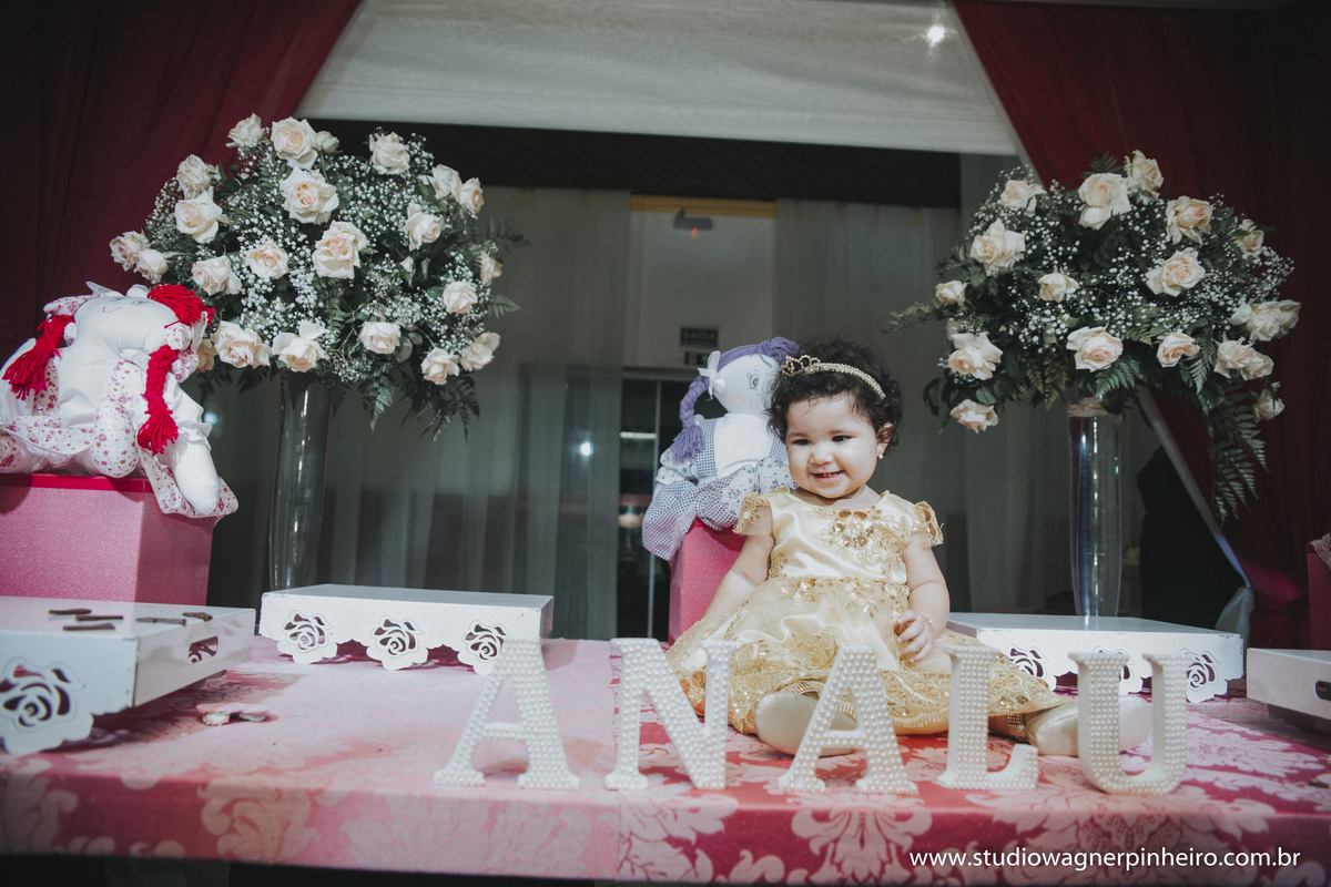 aniversario da ana luiza