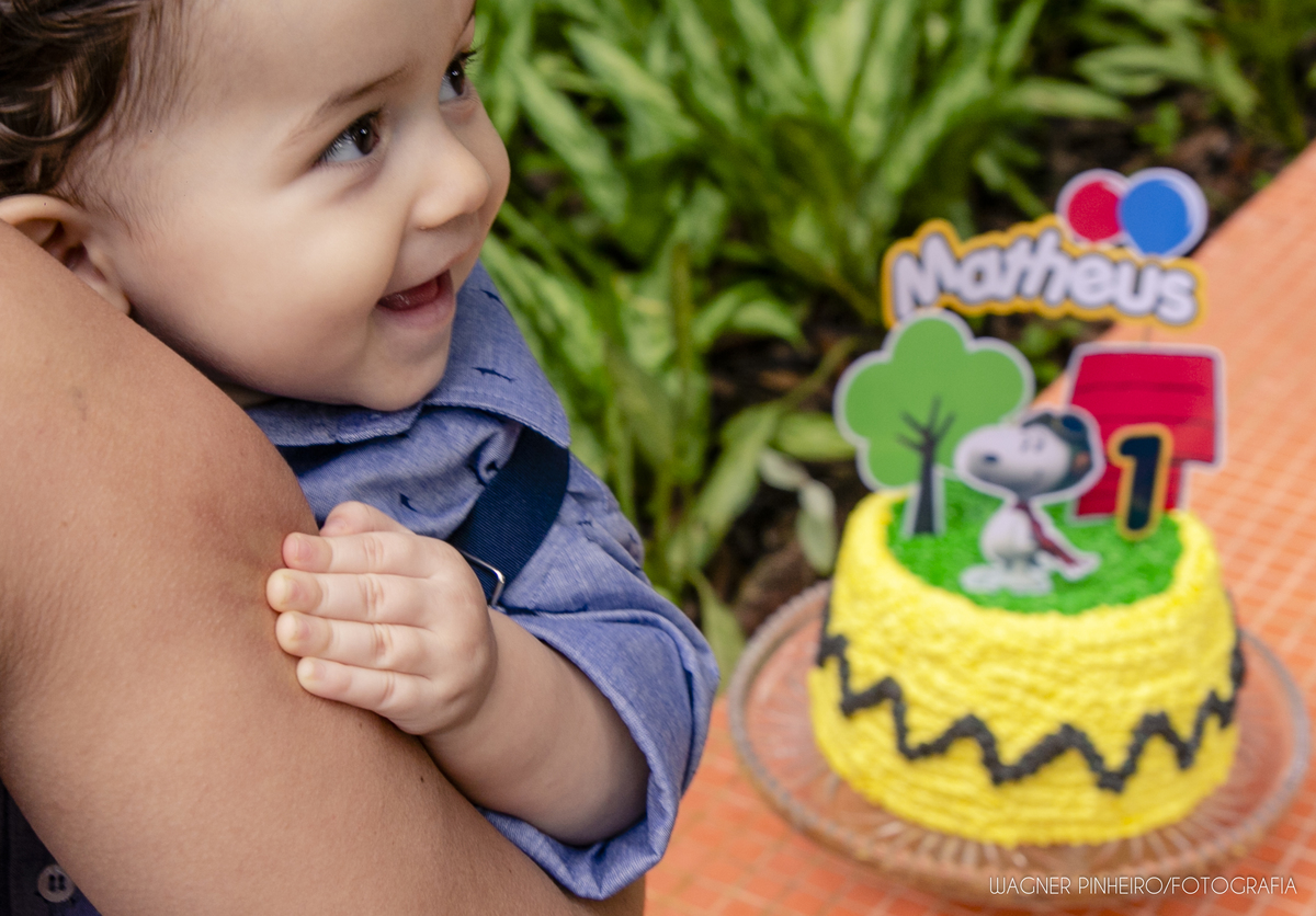 INFANTIL-SMASH THE CAKE-UM ANINHO