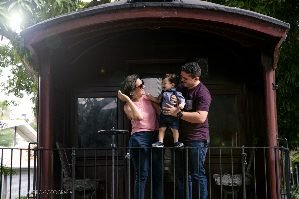 INFANTIL-SMASH THE CAKE-UM ANINHO