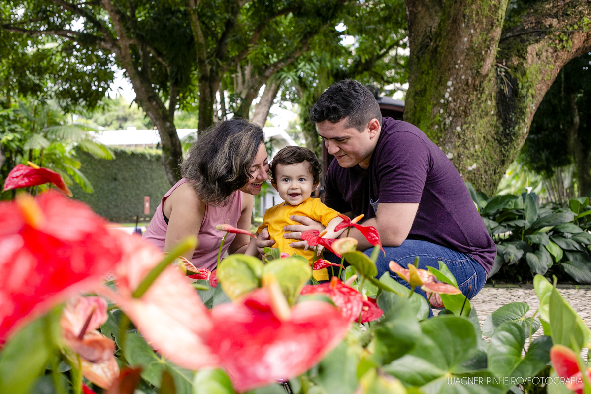 INFANTIL-SMASH THE CAKE-UM ANINHO