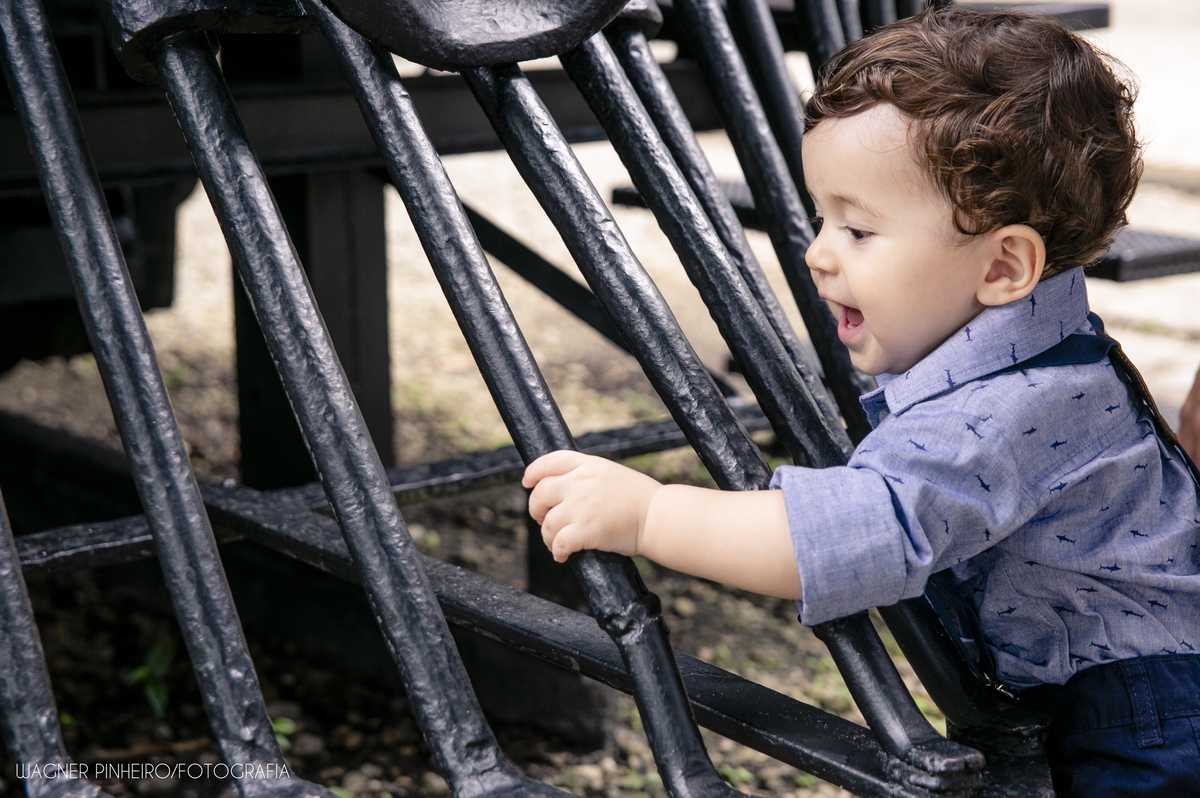 INFANTIL-SMASH THE CAKE-UM ANINHO