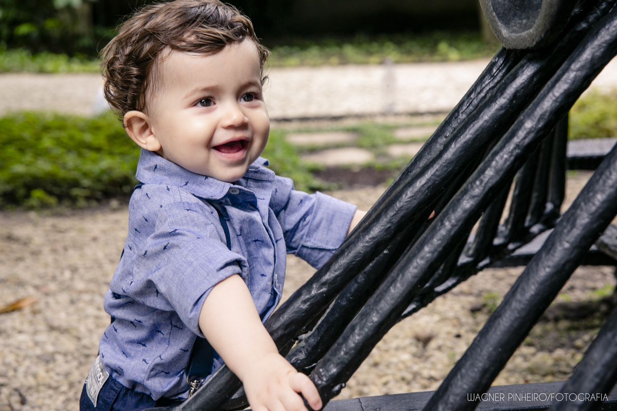 INFANTIL-SMASH THE CAKE-UM ANINHO