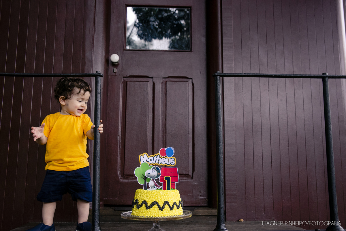 INFANTIL-SMASH THE CAKE-UM ANINHO