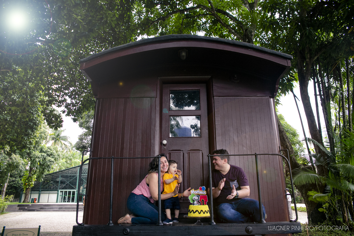 INFANTIL-SMASH THE CAKE-UM ANINHO