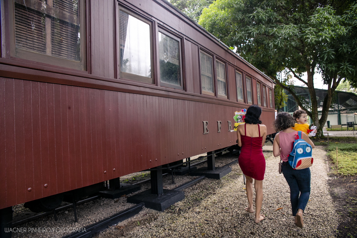 INFANTIL-SMASH THE CAKE-UM ANINHO