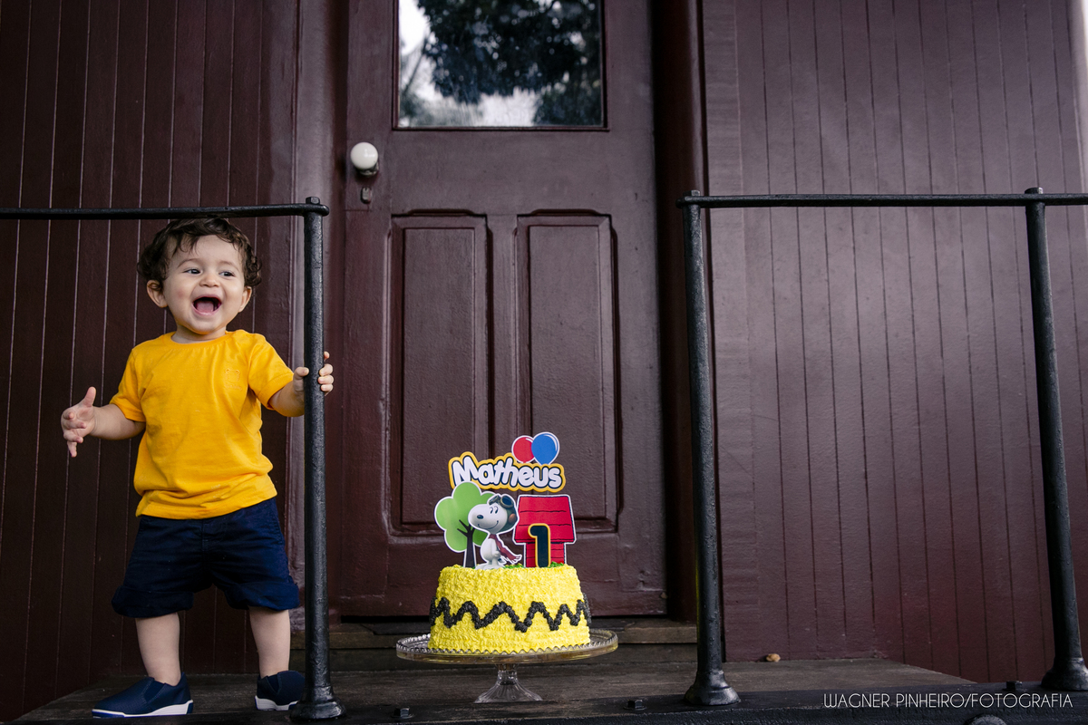 INFANTIL-SMASH THE CAKE-UM ANINHO
