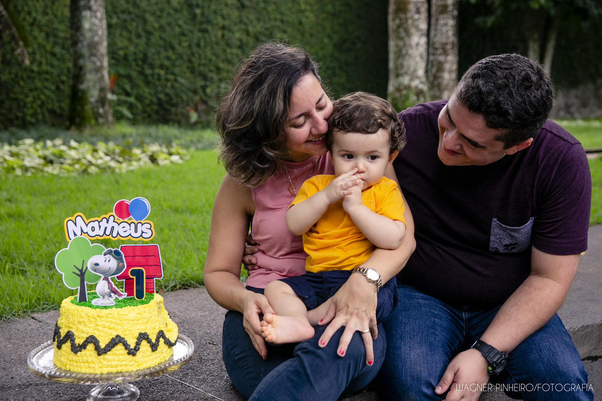 INFANTIL-SMASH THE CAKE-UM ANINHO