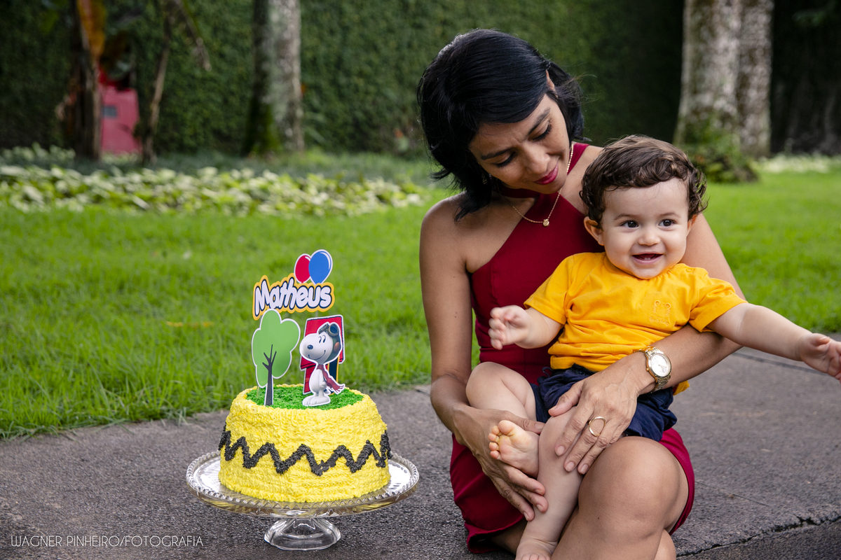 INFANTIL-SMASH THE CAKE-UM ANINHO