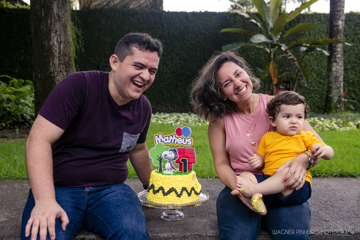 INFANTIL-SMASH THE CAKE-UM ANINHO