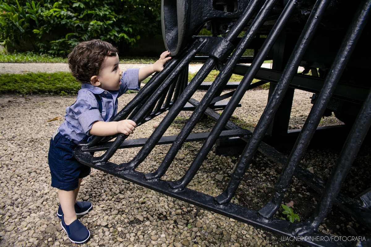 INFANTIL-SMASH THE CAKE-UM ANINHO