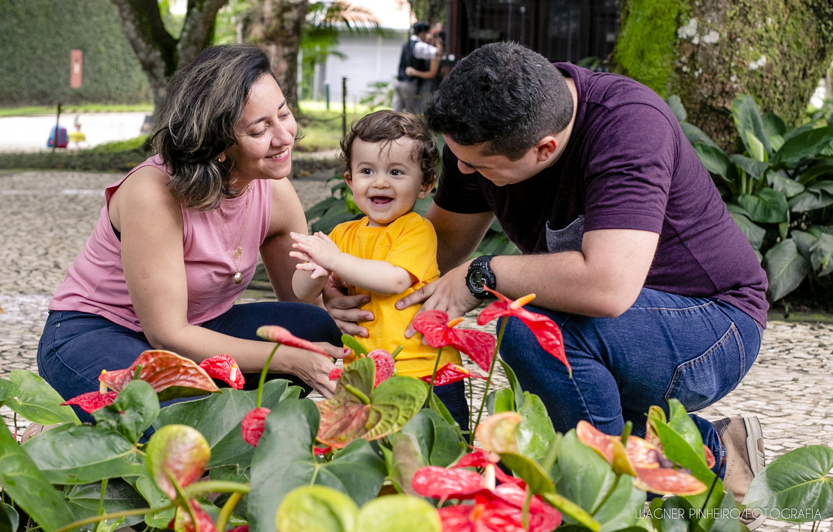 INFANTIL-SMASH THE CAKE-UM ANINHO