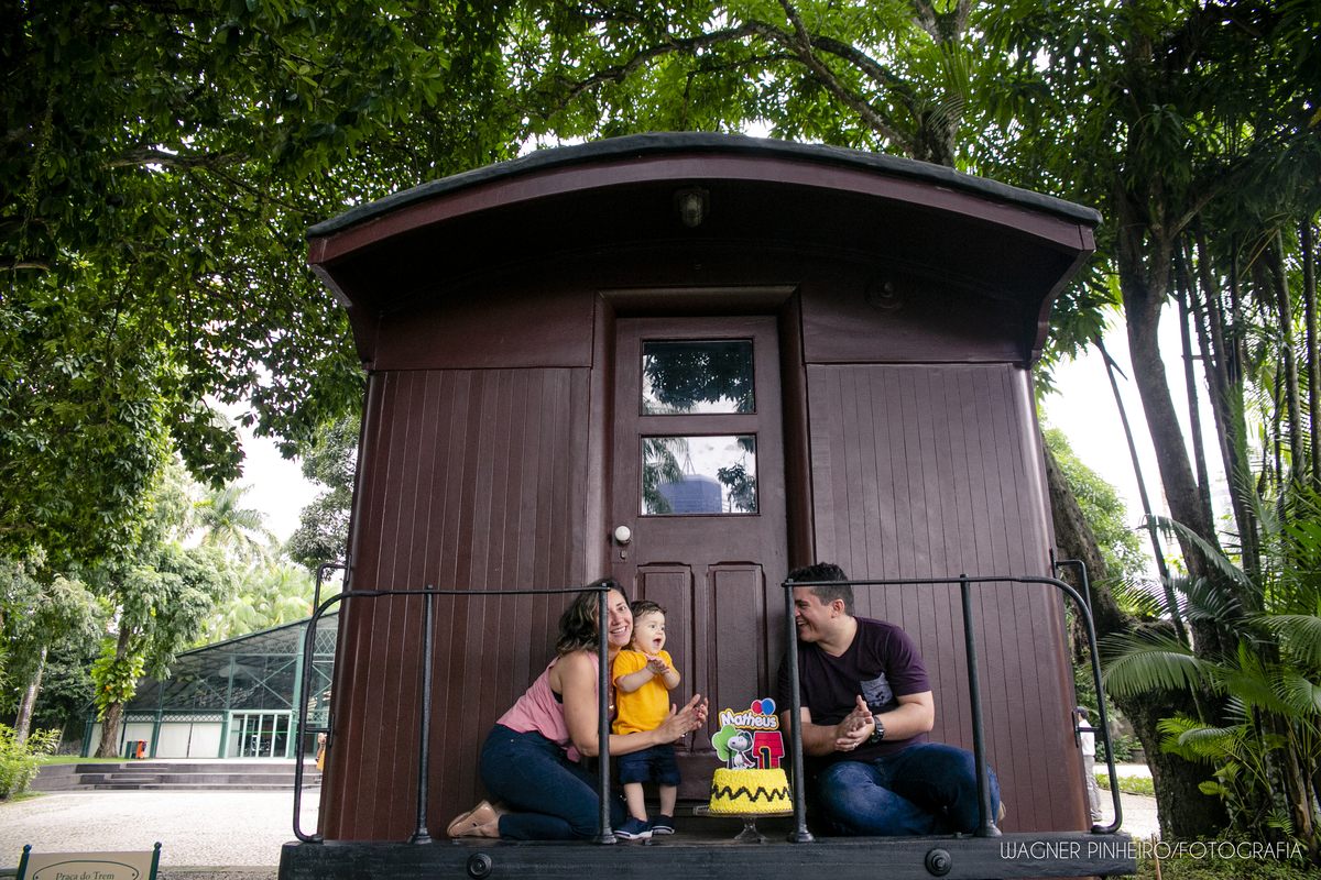 INFANTIL-SMASH THE CAKE-UM ANINHO