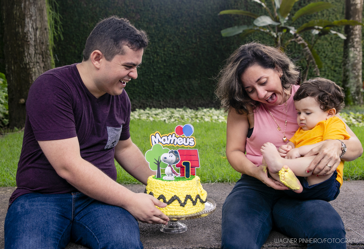 INFANTIL-SMASH THE CAKE-UM ANINHO