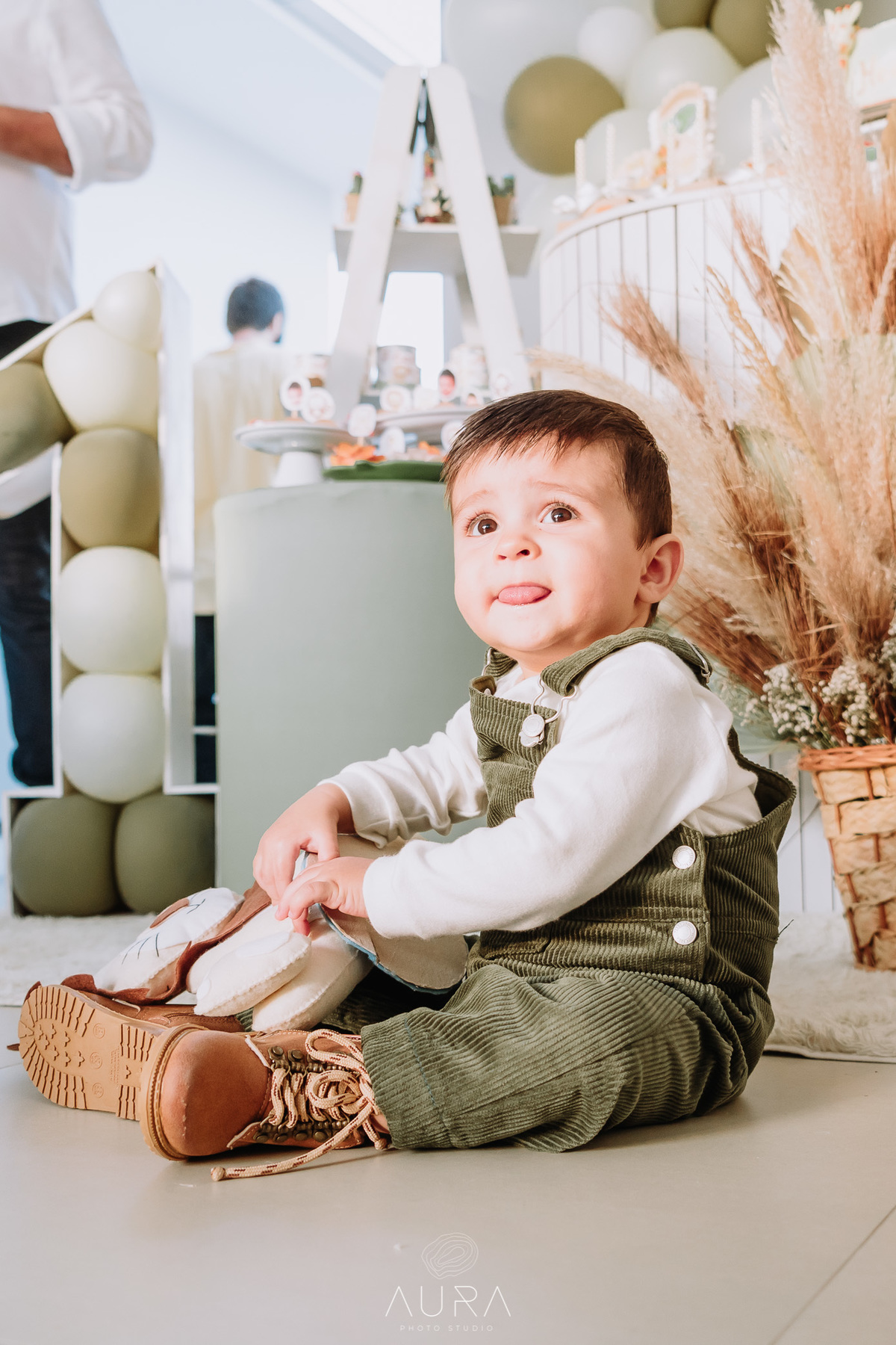 Aura Photo, aniversário de um ano em Tijucas, fotografia de aniversário em Tijucas, aniversário infantil em Tijucas.