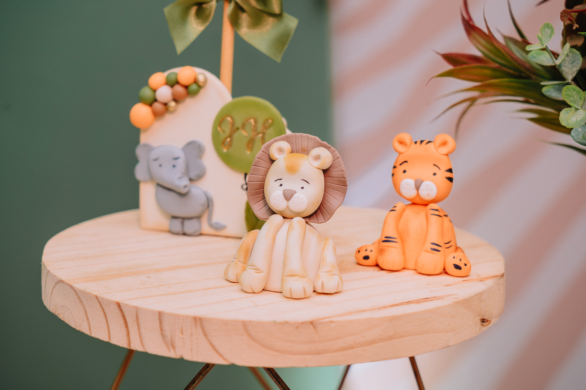 #chá de bebê, auraphotobr, auraphot, aura photo, fotografia de chá de bebê