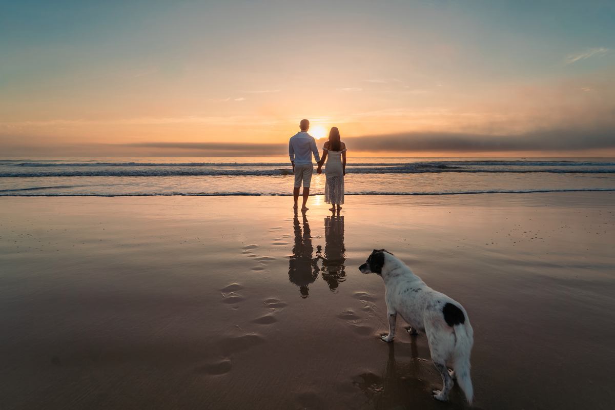 Ensaio pré wedding na praia ao nascer do sol em Santa Catarina