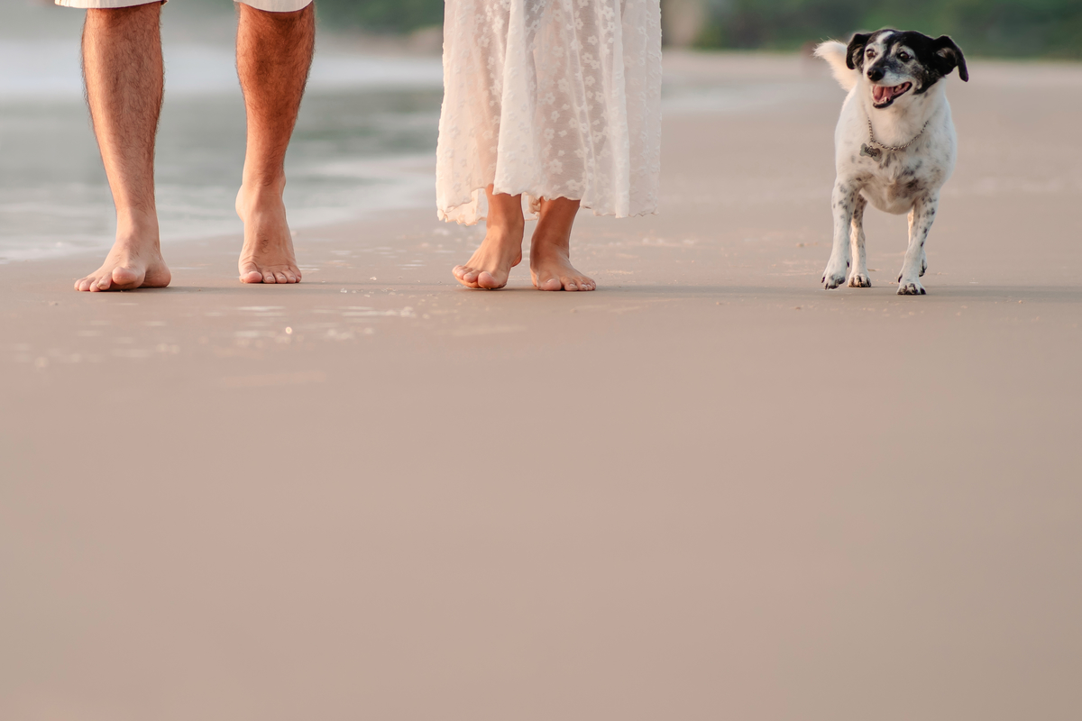 Ensaio pré wedding na praia ao nascer do sol em Santa Catarina