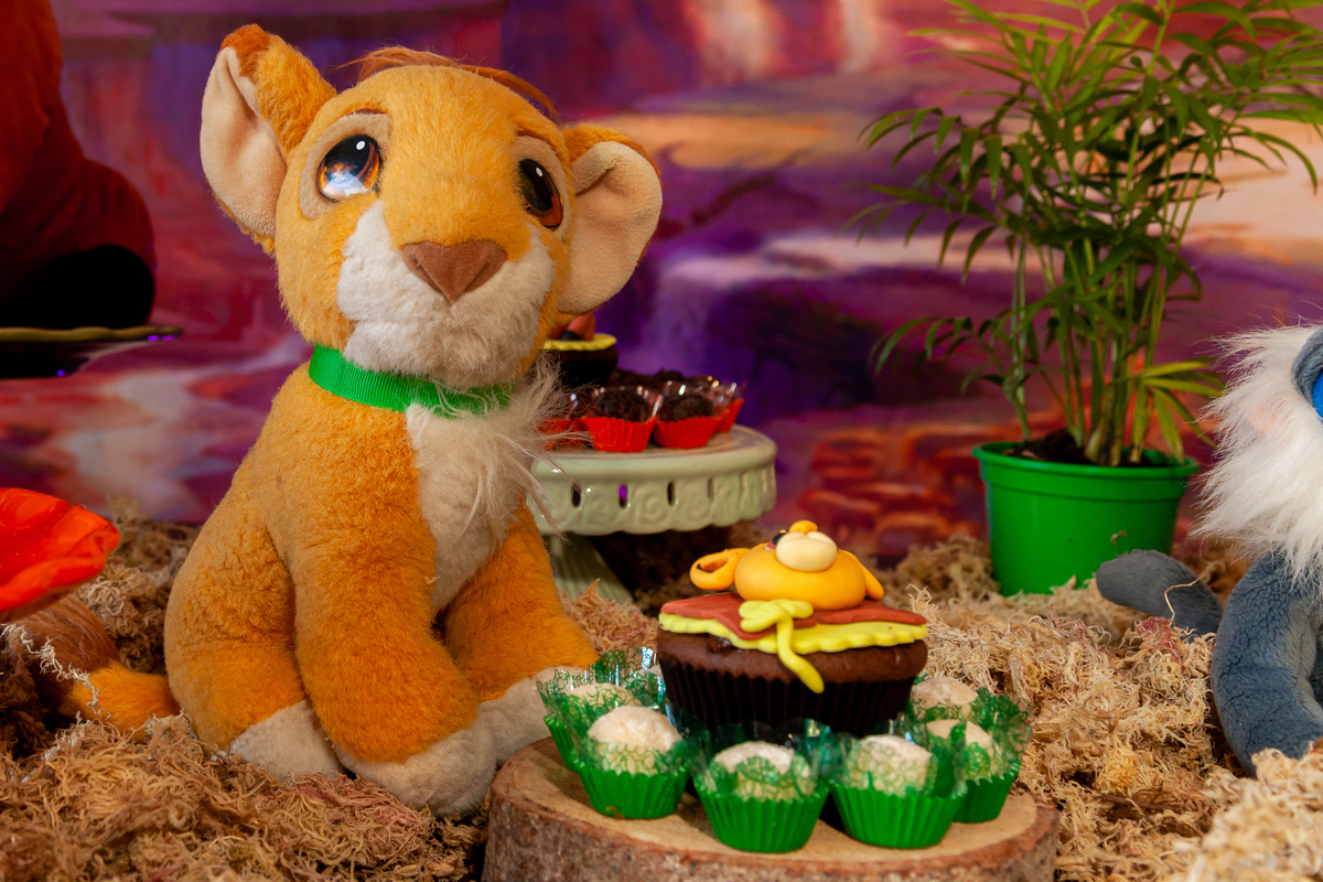 aniversário de um ano em Tijucas, aniversário de gêmeos em Tijucas, aniversário em Tijucas, aniversário em casa, fotografia de aniversário em Tijucas, aura photo, fotografia de aniversário aura photo