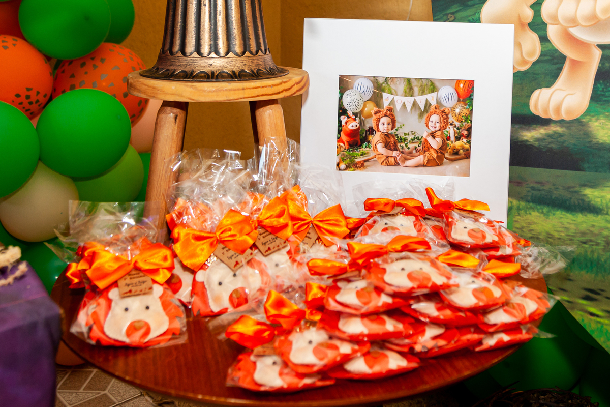 aniversário de um ano em Tijucas, aniversário de gêmeos em Tijucas, aniversário em Tijucas, aniversário em casa, fotografia de aniversário em Tijucas, aura photo, fotografia de aniversário aura photo