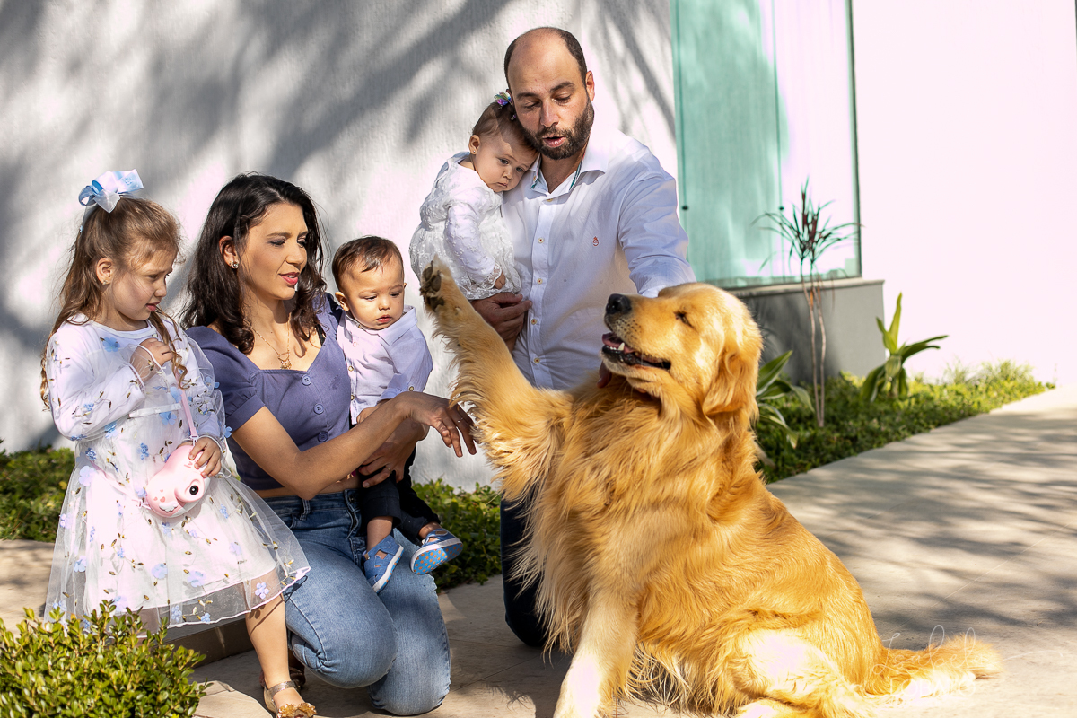 fotografa-de-familia-em-barbacena-isabela-lobato-fotografia-melhor-fotografa-de-barbacena-fotografa-de-bebes-estudio-fotografico-em-barbacena-melhor-fotografa-isabela-lobato-fotografia-ensaio-externo-de-familia-pet-labrador