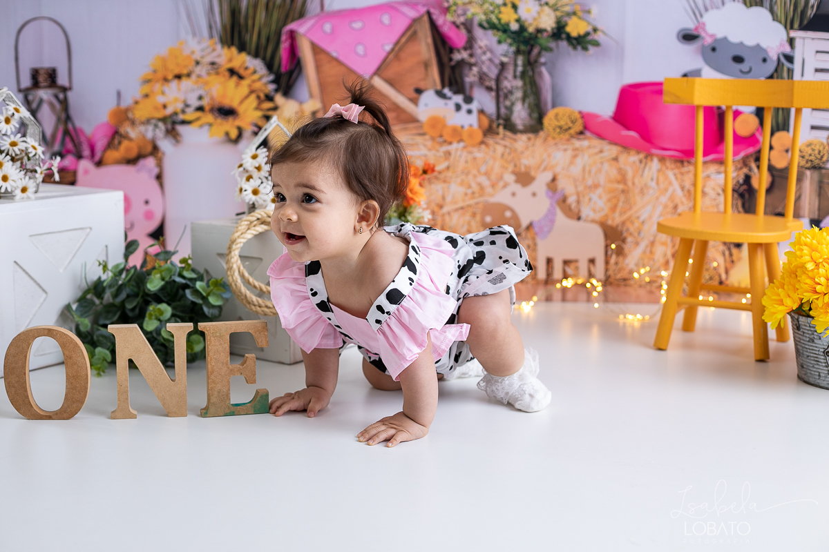smash-the-cake-ensaio-a-hora-do-bolo-esmagnado-o-bolo-cenario-fotografico-fazendinha-rosa-fundo-fotografico-cake-smash-roupa-de-vaquinha-menina-fazendinha-rosa-one-photo-fotografa-de-crianca-barbacena-estudio-isabela-lobato-fotografia-animais-fazendinha