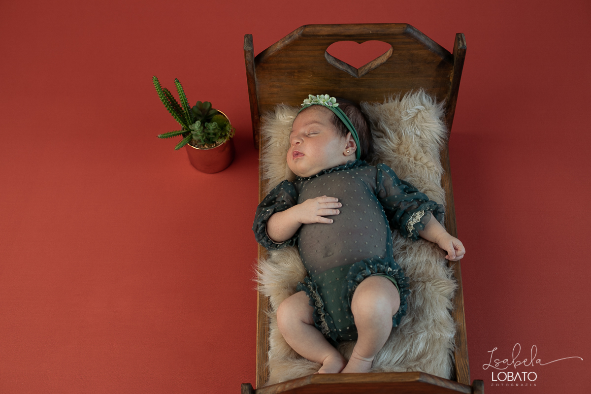 ensaio-fotografico-de-recem-nascido-ensaio-newborn-bebe-recem-nascido-sono-do-bebe-acompanhamento-fotografico-infantil-cenario-de-newborn-fundo-fotografico-para-ensaio-newborn-fotografa-especialista-em-ensaio-newborn-isabela-lobato-fotografia-barbacena-mg
